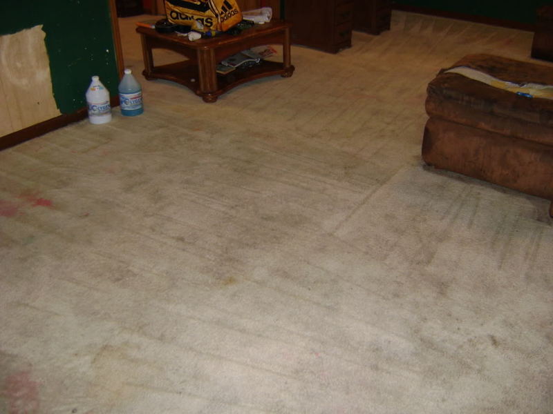 2008_0615CarpetCleaning0078.jpg