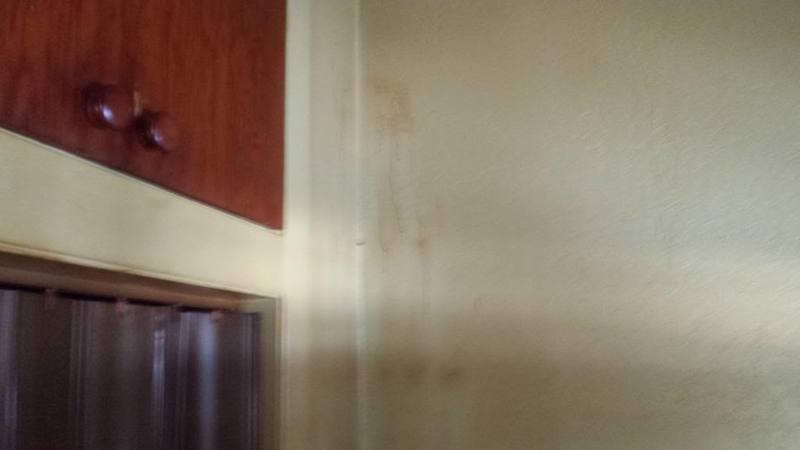 2014-03-30100821_zps6deeba18.jpg 2014-03-30100821_zps6deeba18.jpg