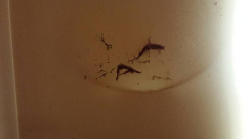 2014-03-30100903_zpsefc3cda3.jpg 2014-03-30100903_zpsefc3cda3.jpg