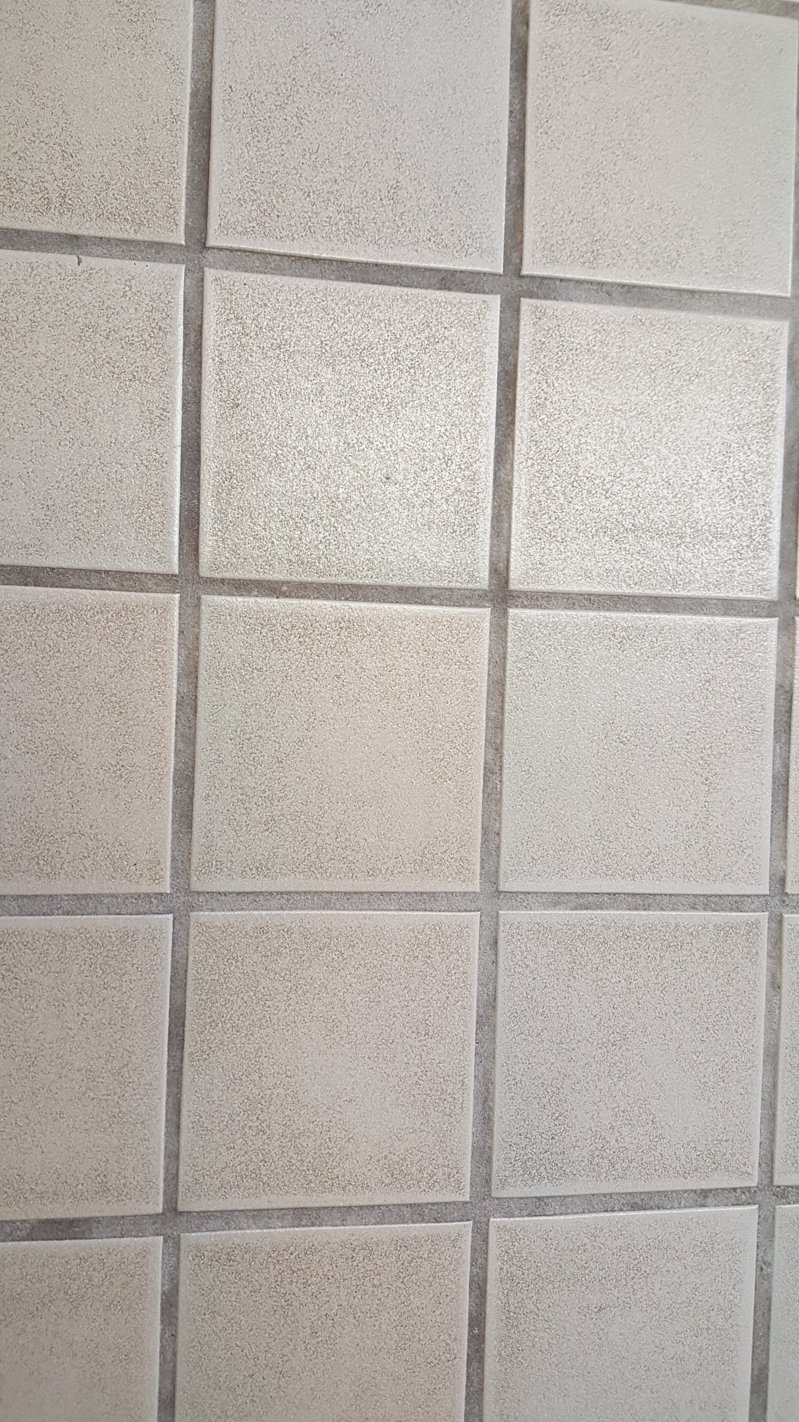 2015-11-08 10.01.46.jpg