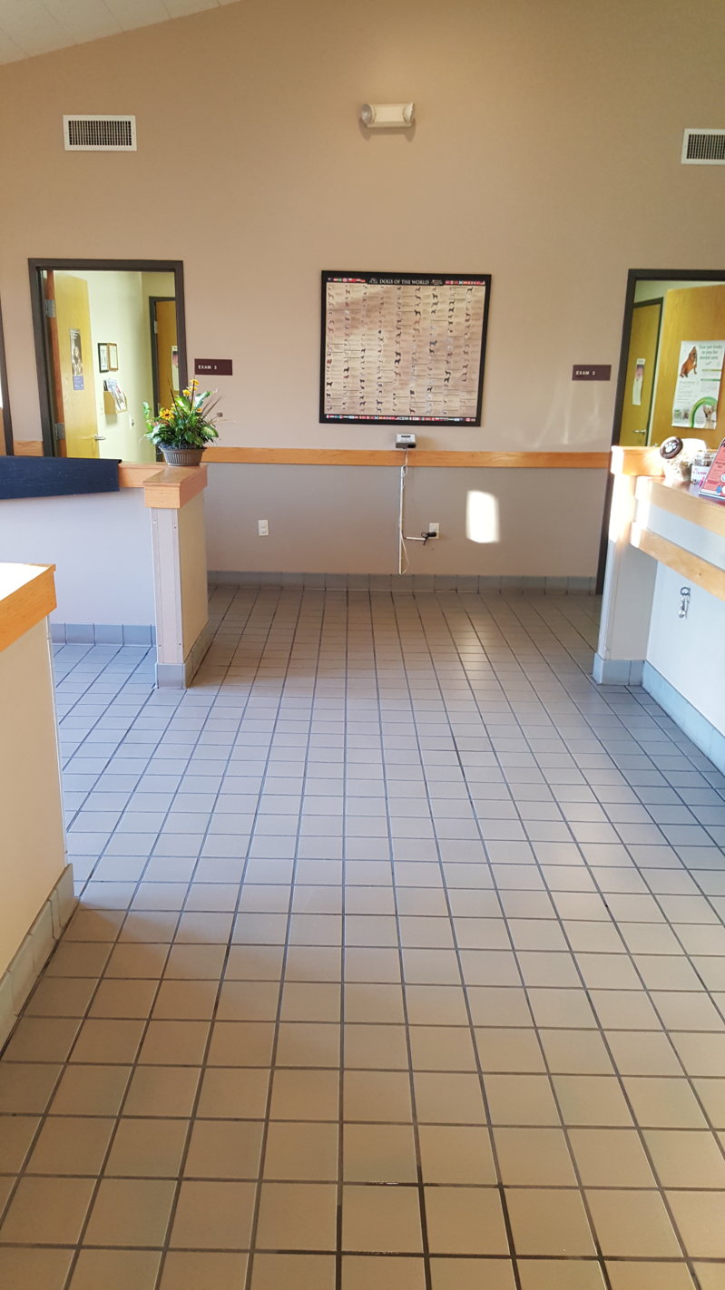 2015-11-08 16.00.20.jpg