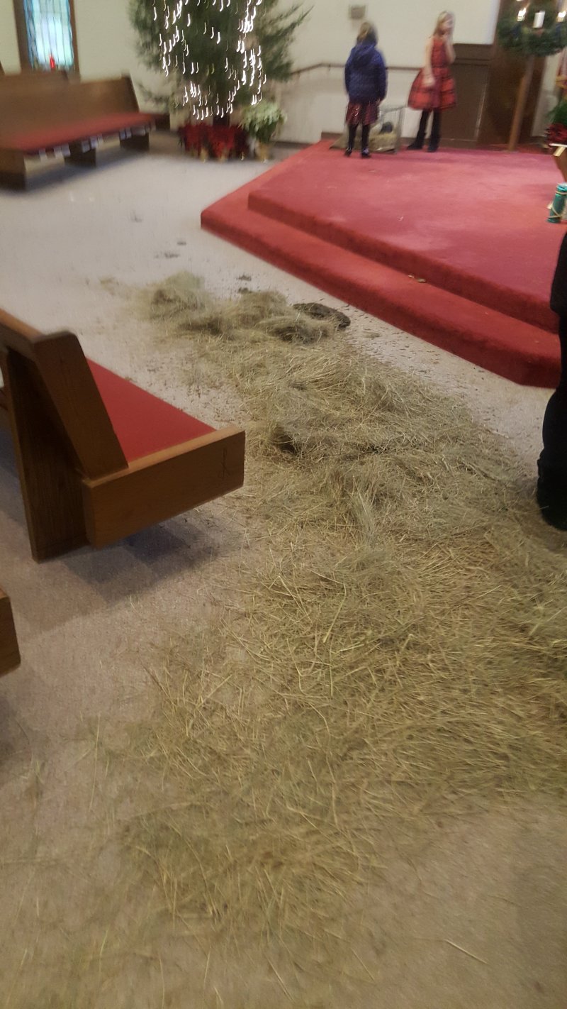 2016-12-24 16.11.47.jpg