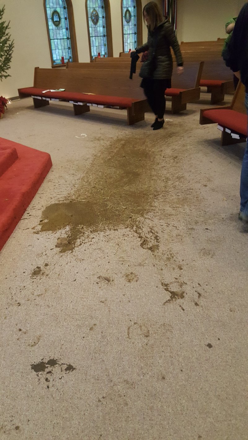 2016-12-24 16.15.22.jpg