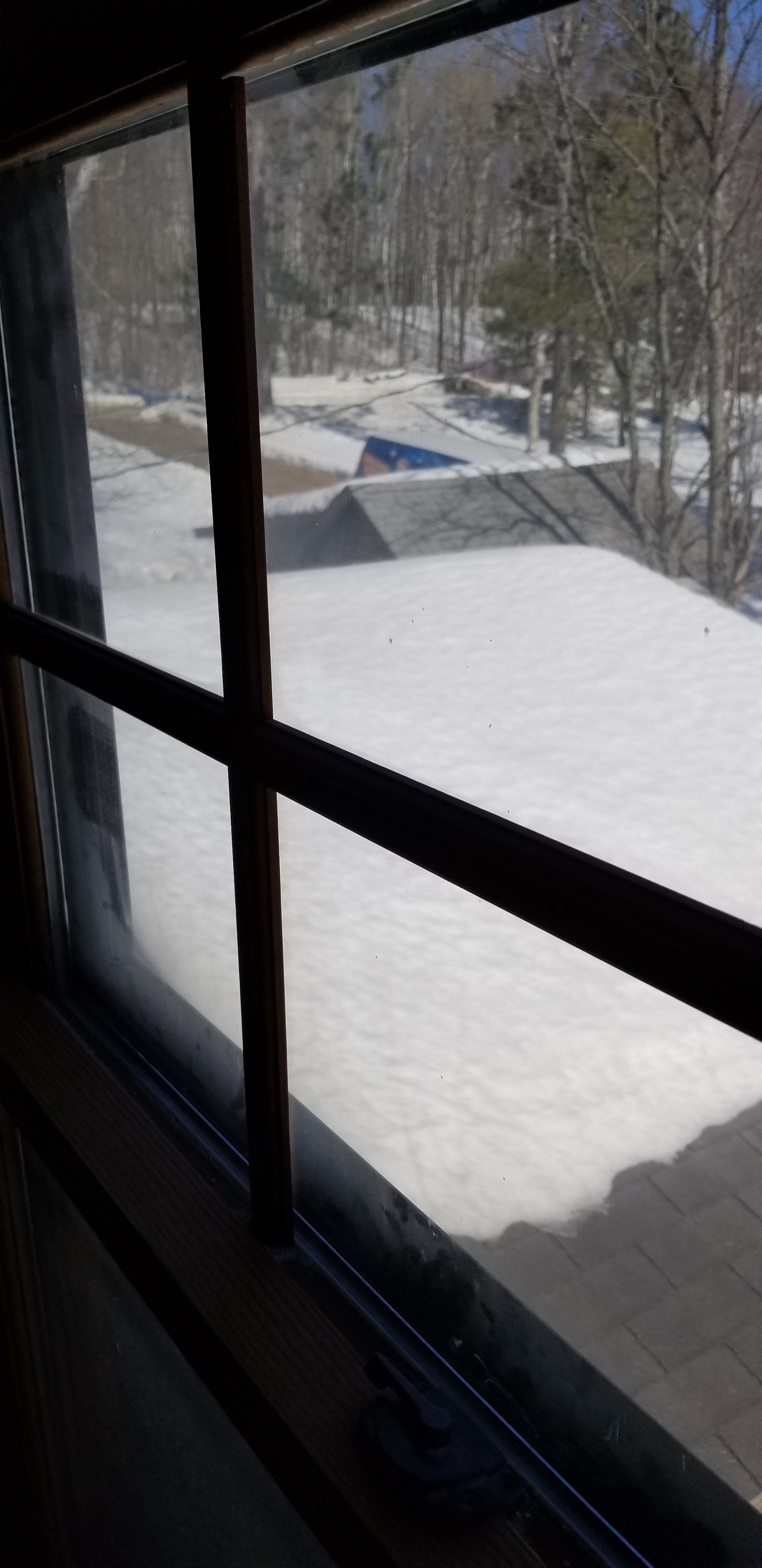 2018-03-16 13.29.30.jpg