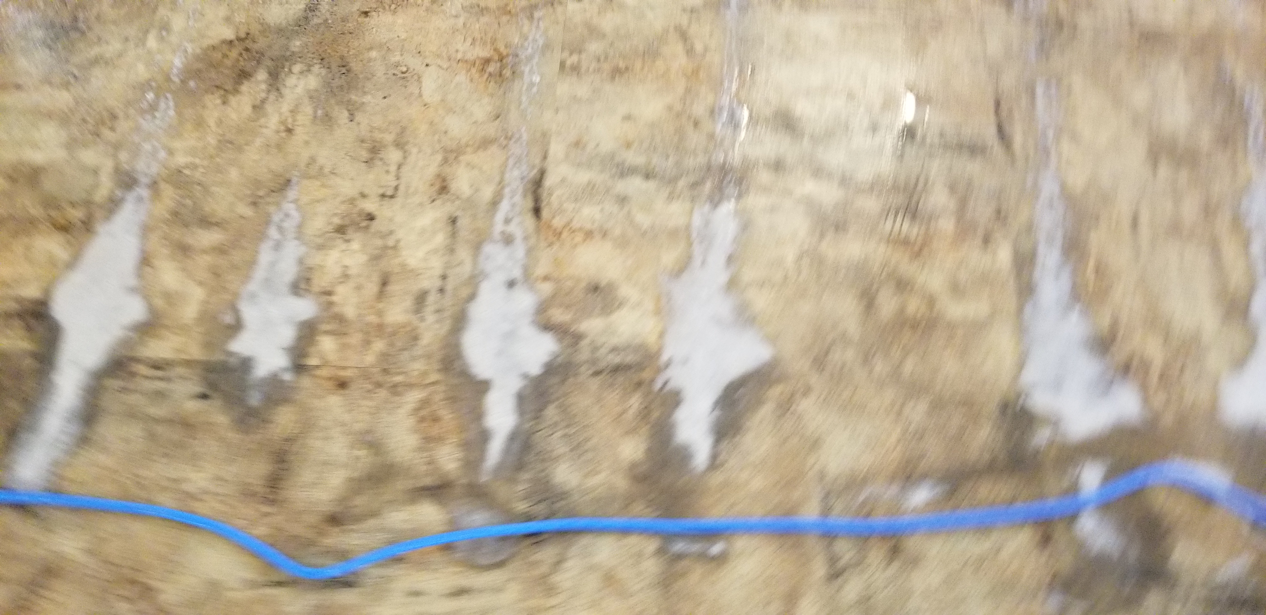 2018-05-30 18.59.34.jpg