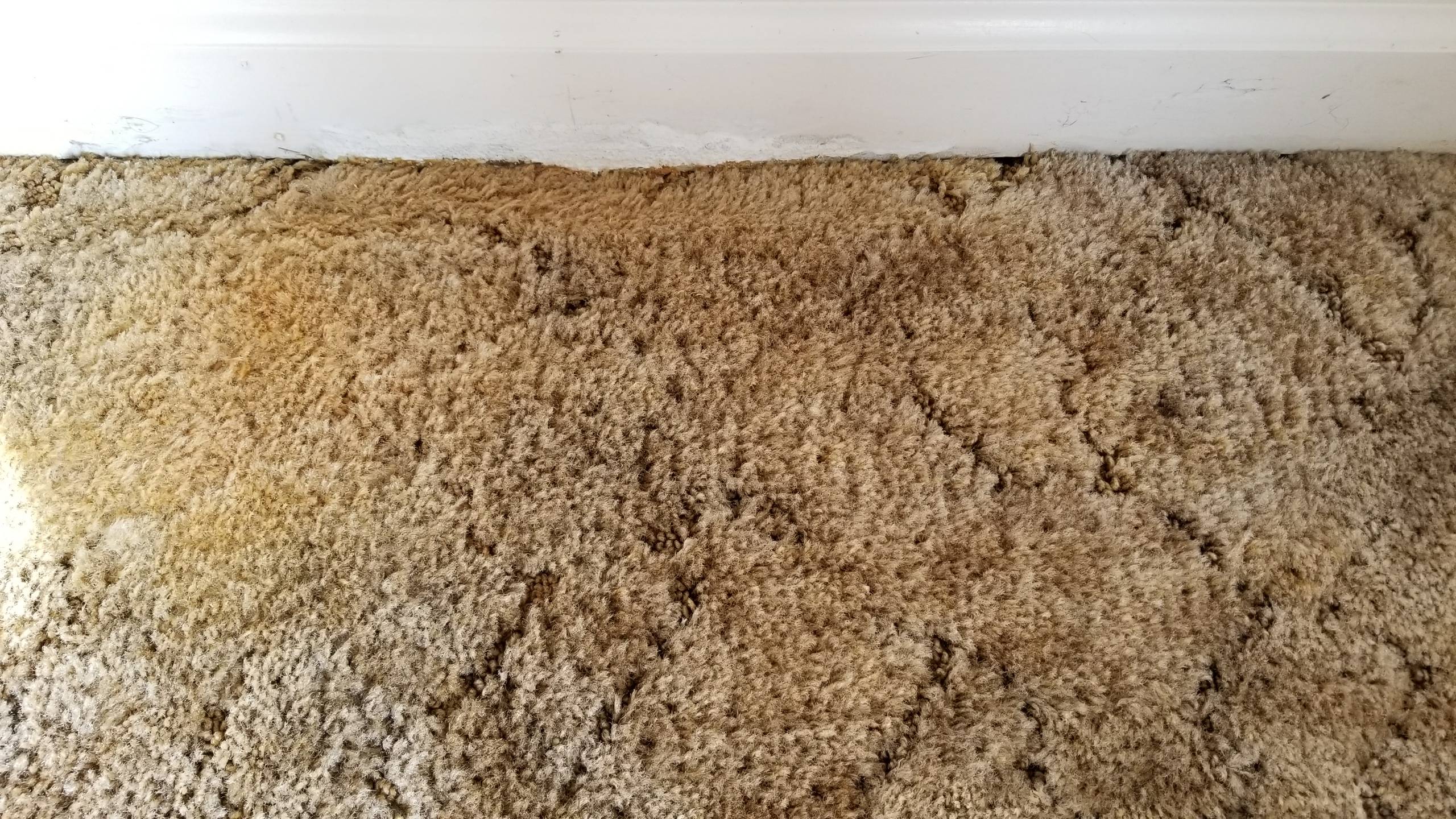 20180205_100313-compressed.jpg