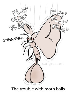 anim_moth-balls_zpsfbe11221.jpg