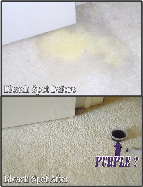 bleachspotrepair.jpg