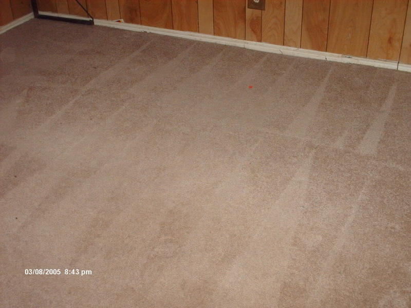 carpetpicspetstain004.jpg