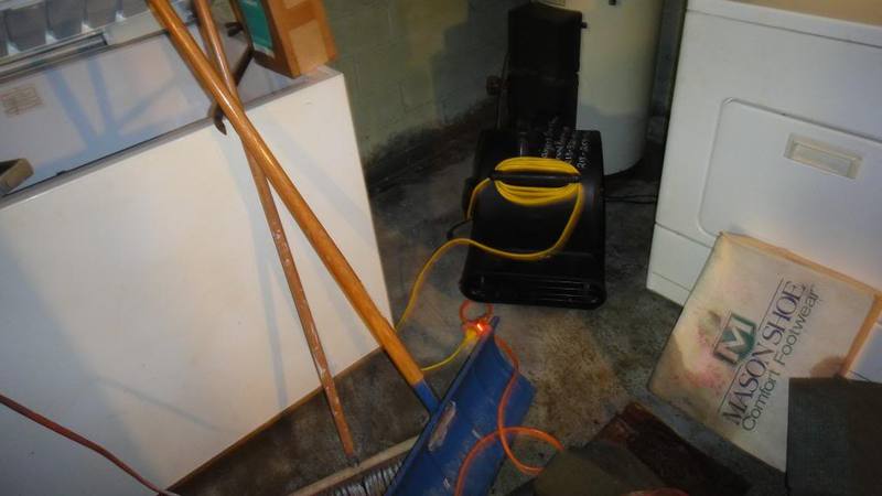 DSC00727_zps918001a9.jpg DSC00727_zps918001a9.jpg