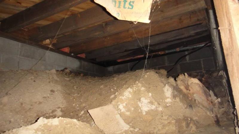 DSC00733_zps6647dbb3.jpg DSC00733_zps6647dbb3.jpg