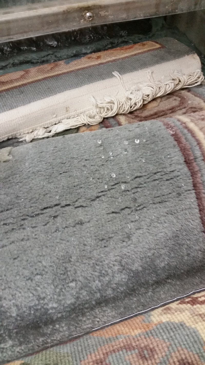 FP_Chinese_ 20160323_081546.jpg