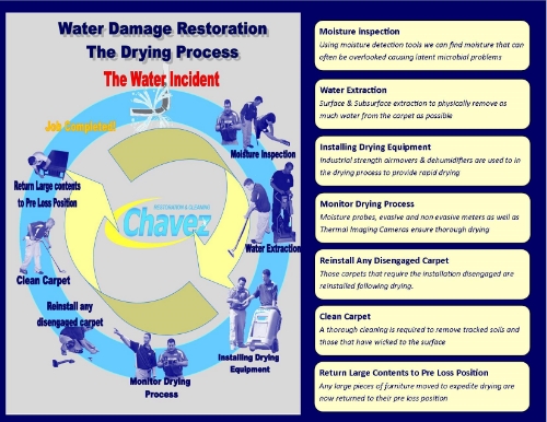 InfographicWATERDamage_zps4429bbe8.jpg