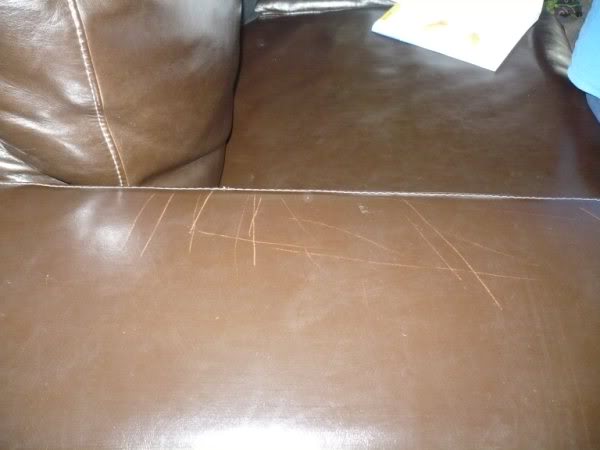 Penscratchedleather.jpg