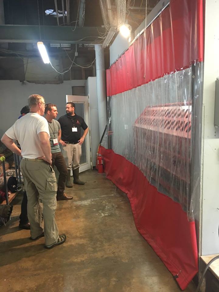 red duster 18157371_10154722061385674_1577007590767965310_n.jpg