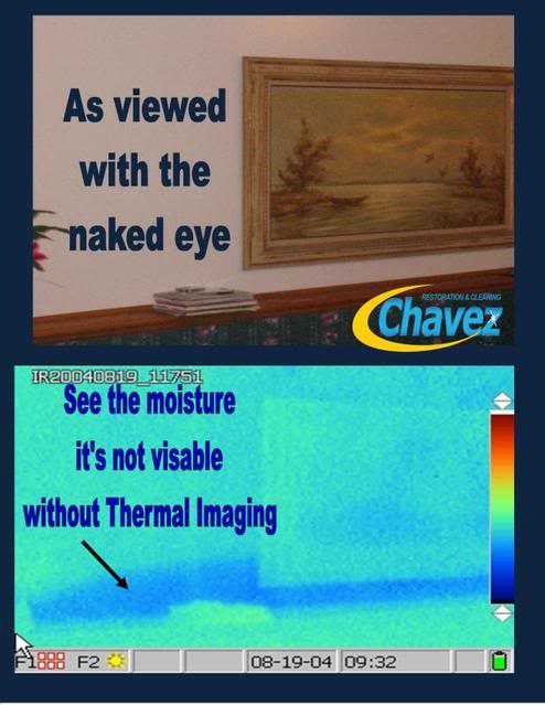 ThermalImageview.jpg