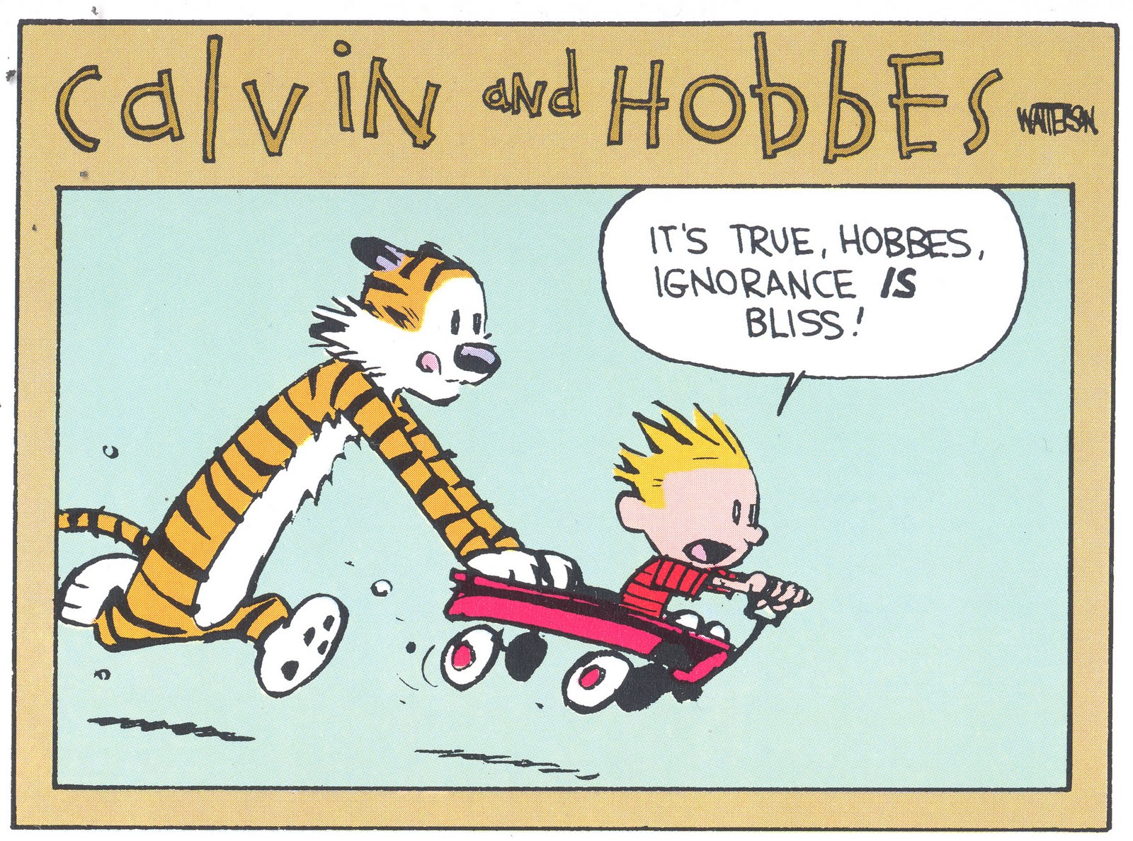 ignorance-is-bliss-1-of-4.jpg